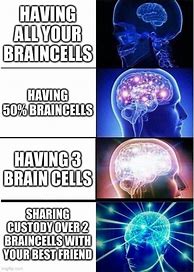 Image result for Same Brain Cell Meme