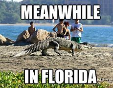 Image result for Florida People Meme