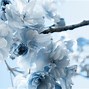Image result for Free Winter Flower Wallpaper