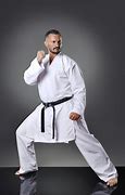 Image result for Karate Man in Kata