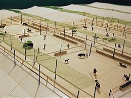 Image result for Small Feedlot Design