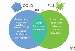 Image result for Difference Between Flu a and B