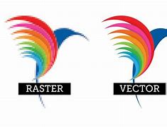 Image result for Vector Raster