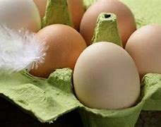 Image result for Raw Egg Allergy