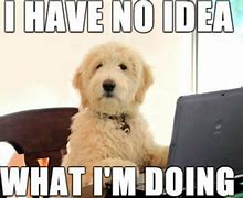 Image result for Funny Dog Memes for Work