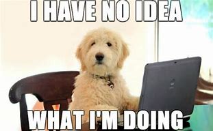Image result for Cute Animal Work Memes