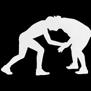 Image result for AAU Wrestling Decal