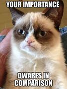 Image result for Grumpy Dwarf Meme
