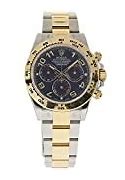 Image result for Best Rolex Watches for Women