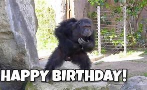 Image result for Monkey Happy Birthday Brother Funny