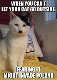 Image result for Kitler Cat Meme