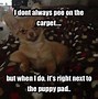 Image result for Hilarious Funny Animals
