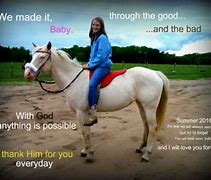 Image result for Horse Injuries