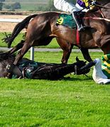 Image result for Chester Horse Racing