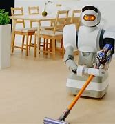 Image result for Domestic Service Robots