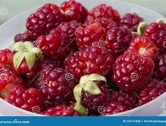 Afbeeldingsresultaten voor Rubus Boysenbes
