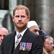 Image result for Prince Harry Duke of Sussex Real Father