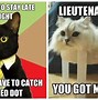 Image result for Cat Funny Pet Memes