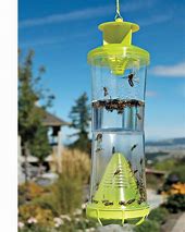 Image result for Insect Safe Trap