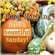 Image result for Easy Like Sunday Morning with Fall Colors