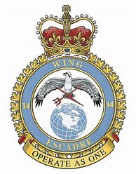 Image result for CFB Wing Insignia