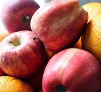 Image result for Which Are Bigger Apples or Oranges