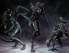 Image result for Xenomorph Background