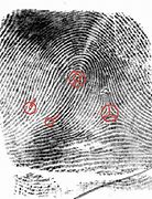 Image result for Fingerprint Minutiae Types