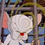 Image result for Animaniacs Pinky and the Brain Makeup
