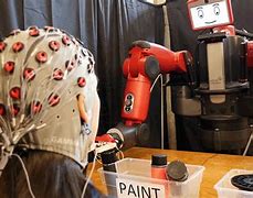 Image result for Domestic Robots