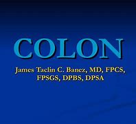 Image result for colon8a