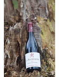 Image result for Perrot Minot Nuits saint Georges Richemone Cuvee Ultra