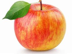 Image result for Colster Apple Fruit