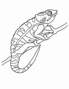 ausmalbilder reptilien malvorlagen cham 228 ausmalbild gratis herunterladen ausmalen ausmalbilder reptilien malvorlagen cham 228 ausmalbild gratis herunterladen ausmalen