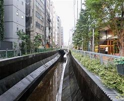 Image result for Shibuya River