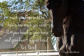 Image result for Horse Friendship Quotes