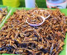 Image result for How to Fry Crickets