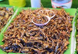 Image result for Dried Fried Crickets