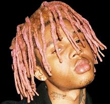 Image result for Rappers with Pink Dreads