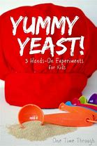 Image result for Christian Food Science with Kids