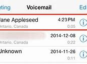 Image result for Voicemail iPhone 13