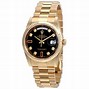 Image result for Black and Gold Rolex