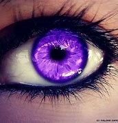 Image result for RedIRIS Contact Lenses
