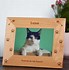 Image result for frame cats photos