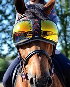 Image result for Horse Racing Goggles