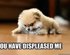 Image result for Mildly Annoyed Puppy Meme