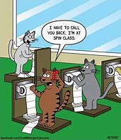 Image result for Free Funny Cartoons and Jokes