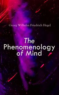 Image result for Phenomenology Book