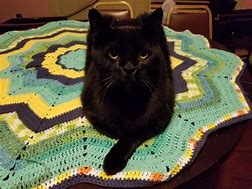 Image result for Crochet Lace Tablecloth