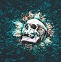 Image result for Intel Skull Wallpaper